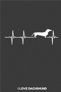 I love Dachshund
