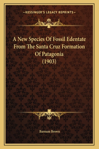 A New Species Of Fossil Edentate From The Santa Cruz Formation Of Patagonia (1903)