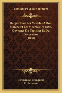 Rapport Sur Les Meubles A Bon Marche Et Les Meubles De Luxe, Ouvrages Du Tapissier Et Du Decorateur (1880)