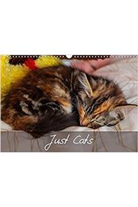 Just Cats 2017