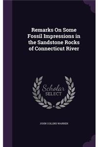 Remarks On Some Fossil Impressions in the Sandstone Rocks of Connecticut River