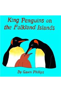 King Penguins on the Falkland Islands
