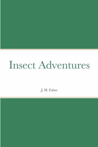 Insect Adventures