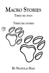 Macro Stories