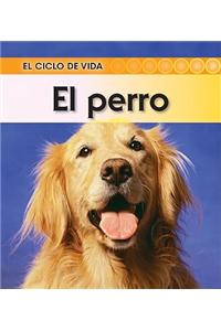 El Perro = Dog
