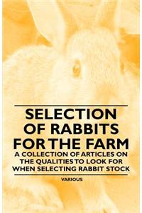 Selection of Rabbits for the Farm - A Collection of Articles on the Qualities to Look for When Selecting Rabbit Stock