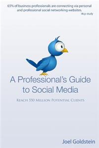 Professionals Guide to Social Media: The complete step by step guide for an entrepreneur