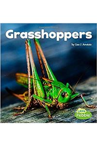 GRASSHOPPERS