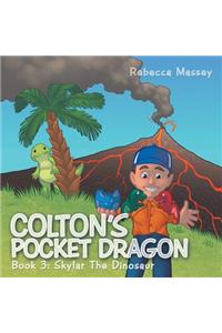 Colton's Pocket Dragon