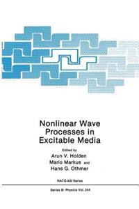 Nonlinear Wave Processes in Excitable Media