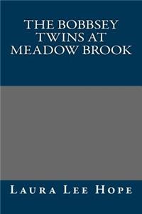 The Bobbsey Twins at Meadow Brook