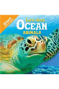 Ocean Animals