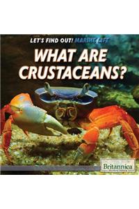 What Are Crustaceans?