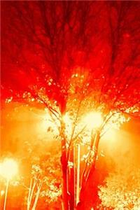 Tree Fire Journal
