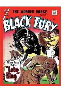 Black Fury # 11