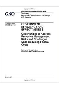 Government efficiency and effectiveness, opportunities to address pervasive management risks and challenges while reducing federal costs
