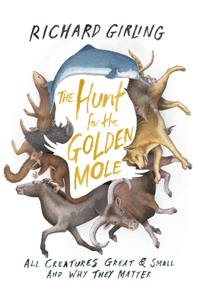 Hunt for the Golden Mole