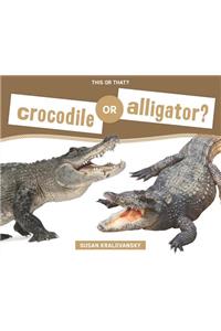 Crocodile or Alligator?