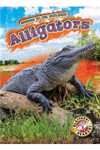 Alligators