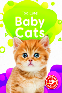 Baby Cats