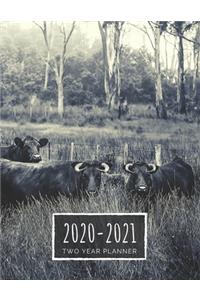 Two Year Planner 2020-2021