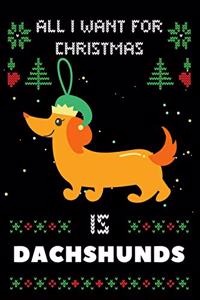 All I Want For Christmas Is Dachshunds