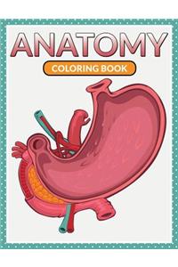 Anatomy Coloring Book