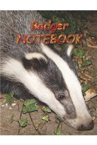Badger NOTEBOOK