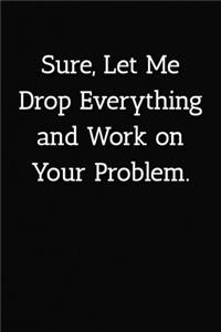 Sure, Let Me Drop Everything and Work on Your Problem. Notebook