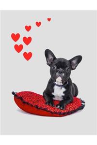 French Bulldog Sketchbook