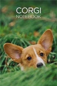 Corgi Notebook