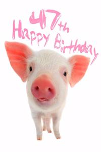 Happy 47th Birthday