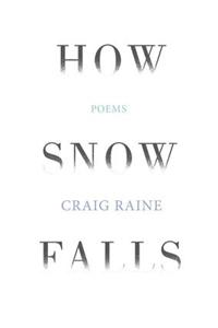 How Snow Falls