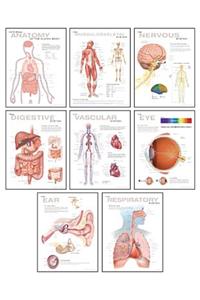 Human Anatomy Chart Pack