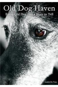 Old Dog Haven