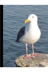 Western Gull Seagull, College Ruled Paper Composition Notebook