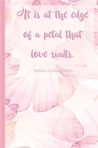 It is at the edge of a petal that love waits.