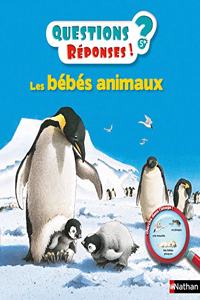 Questions reponses