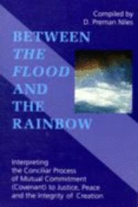 Between the Flood and the Rainbow