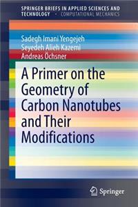 Primer on the Geometry of Carbon Nanotubes and Their Modifications