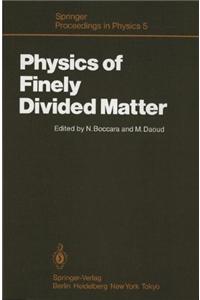 Physics of Finely Divided Matter