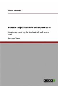 Benelux cooperation now and beyond 2010
