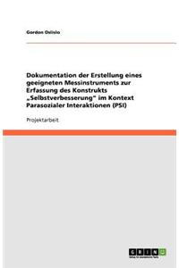 Dokumentation der Erstellung eines geeigneten Messinstruments zur Erfassung des Konstrukts 