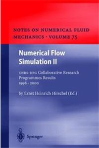 Numerical Flow Simulation II