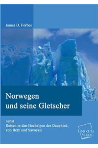 Norwegen Und Seine Gletscher