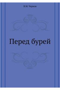 Перед бурей