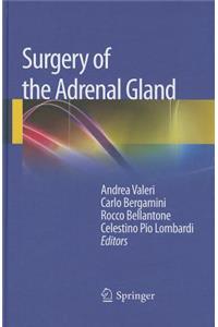 Surgery of the Adrenal Gland