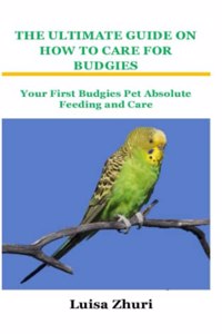 Ultimate Guide on How to Care for Budgies: Your First Budgies Pet Absolute Feeding and Care