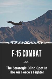 F-15 Combat