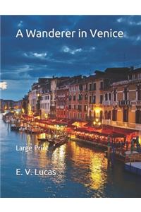 A Wanderer in Venice